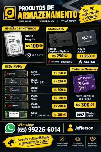  SSDs NVME, Sata e HDs- Armazenamento e desempenho para seu computador! 