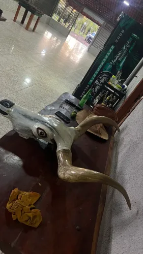 Cabeça de boi trabalhada