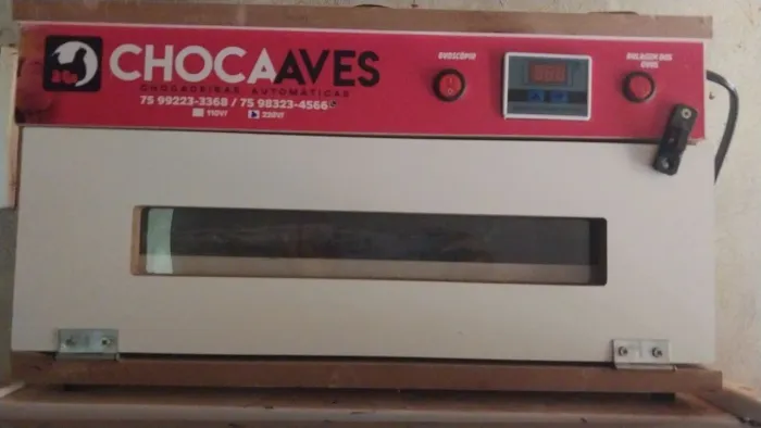 Vendo uma chocadeira automática