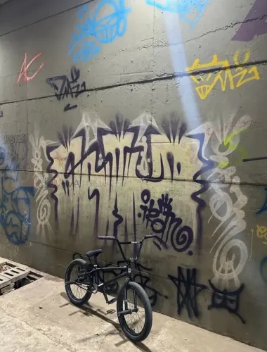 BMX Profissional de manobras