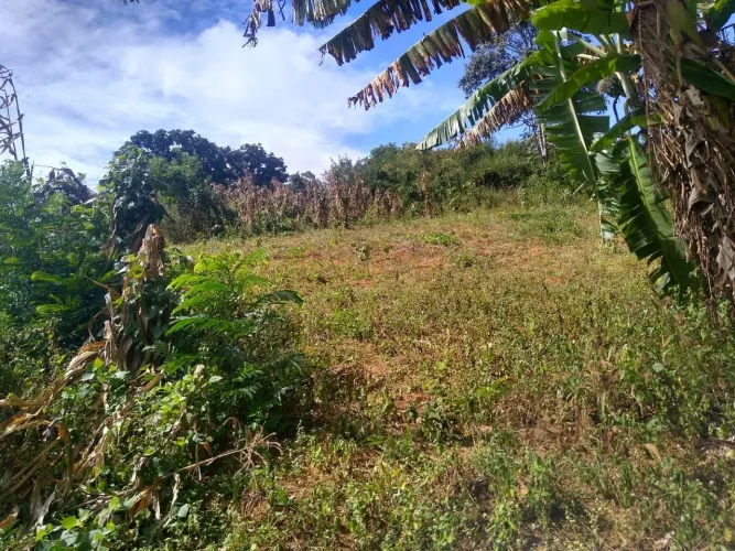 Vendo terreno em mulungu , a poucos metros do mirante de nossa senhora Aparecida