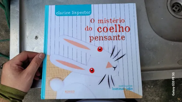 Clarice Lispector Livros coleção Clarice Lispector R$ 50 a unidade  e R$ 230 a coleção