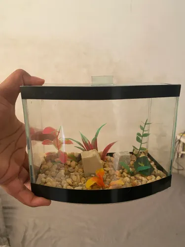 AQUÁRIO JÁ COM DECORAÇÃO FIXA