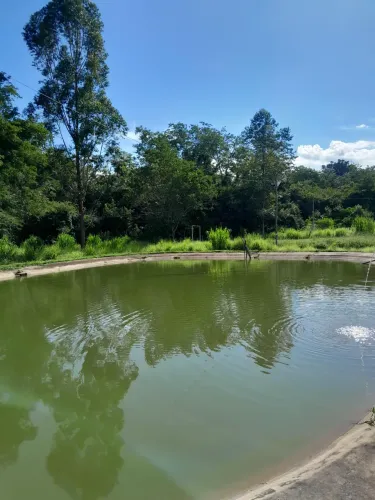 VENDO CHÁCARA EM LUZIÂNIA GO COM RIO NOS FUNDOS AS MARGENS DA BR