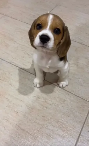 O sorriso mais fofo do mundo tem nome