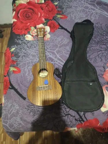 Ukulele concert + case
