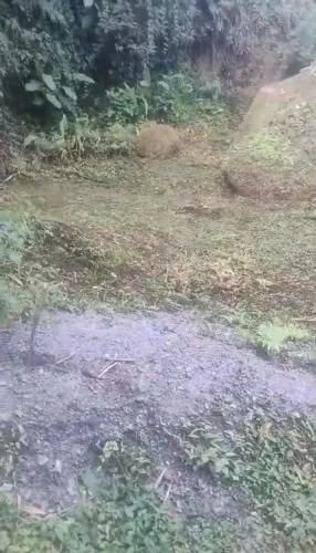 Vendo Fração ( Plana ) Campo do Galo - Paraty