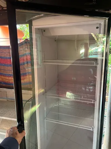Freezer vertical
