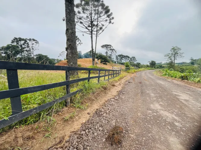 Oportunidade CHÁCARA em RIO DOS CEDROS SC