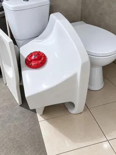 Tanque de Lavar Roupas ou louça + 2 Vasos Sanitários Completos