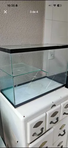 Aquaterrário 43L