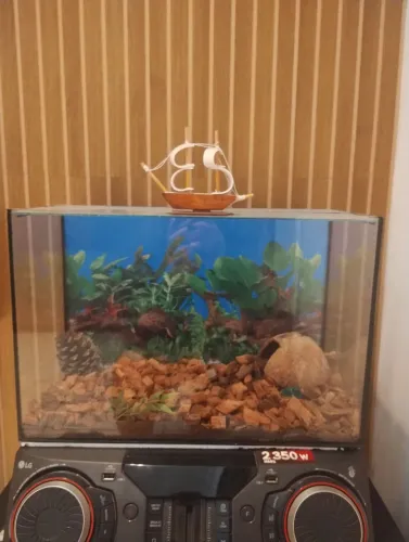 Vendo terrário novo