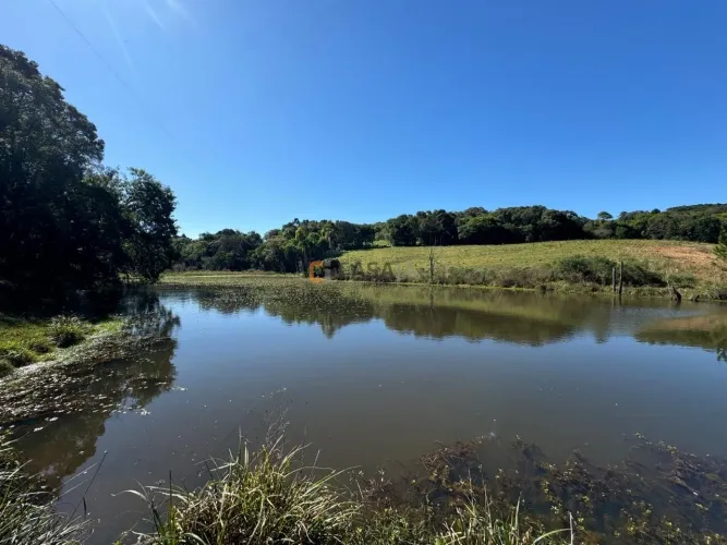 CHÁCARA PRÓXIMO AO CENTRO DA BALSA NOVA, QUASE 6 ALQUEIRES
