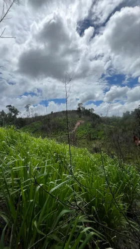 Terreno à venda