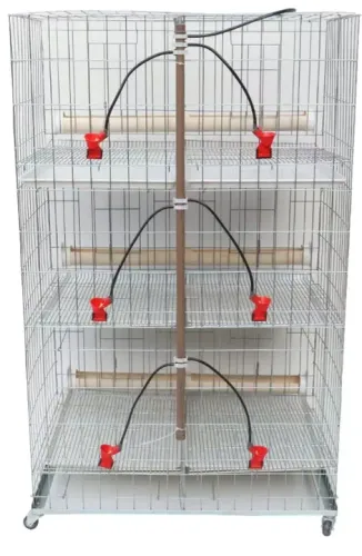 Bateria 6 gaiolas criação galinhas poedeiras