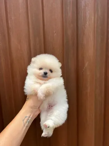 Lulu