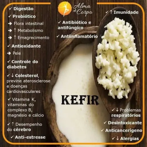 Doa-se Kefir de água, de leite, iogurtes infinitos e kombuchá