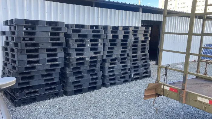 Paletes plastico 