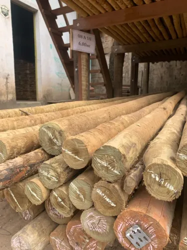 Eucalipto tratado roliço 12 a 14 com 8mts
