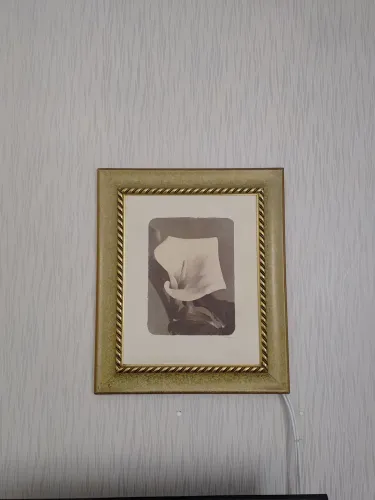 Quadro Decorativo Flor com assinatura 