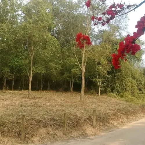 Lotes aberto a negociações - Balneário Ponta da Fruta, Vila Velha/ES, troco, parcelo