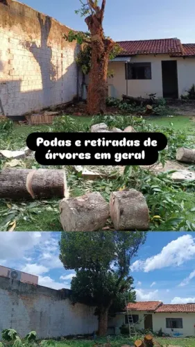 Serviços de poda e retirada de árvores