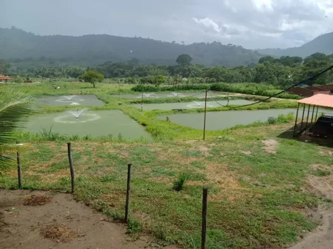 SÍTIO À VENDA COM 8.200 m², TANQUE PARA CRIAÇÃO DE PEIXES, CASA SEDE EM CAATIBA-BA