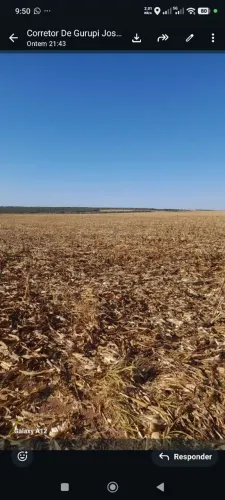Fazenda de arrendamento 420 hec no TO. Na lagoa da confusão.