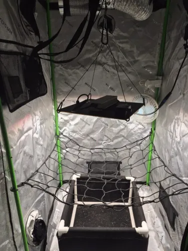 Kit Cultivo Indoor Completo 80x80 + LED LM301H 240W + Exaustão
