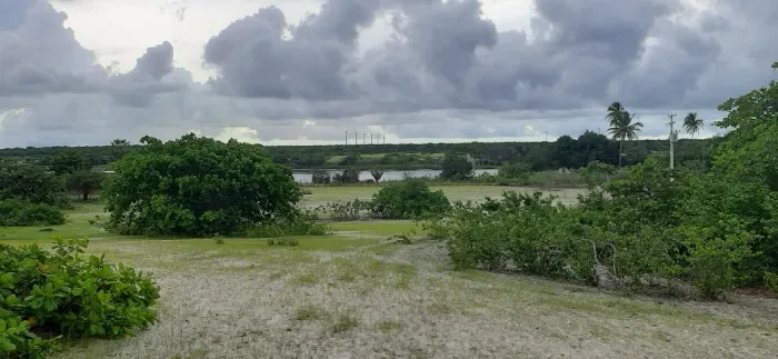 Propriedade Rural em Aracati-CE, com 52 hectares