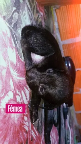 Doação