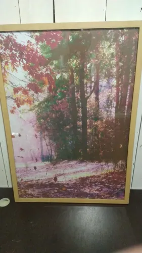 quadro decorativo 