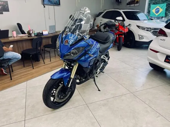 TRIUMPH TIGER 1050 2009