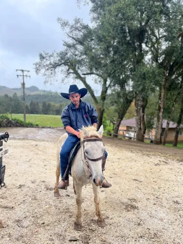 Cavalo Tordilho De Confiança: O Verdadeiro Cavalo De Família! ?