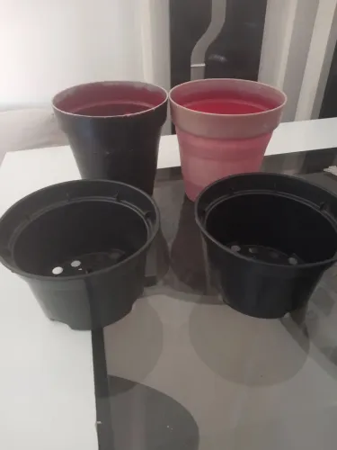 Vaso de plantas 