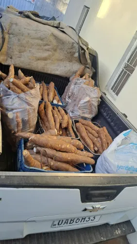 Macaxeira manteguinha já lavada