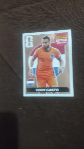 VENDO CODY GAKPO BRONZE