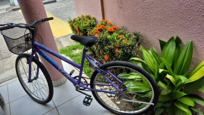 Bicicleta caloi