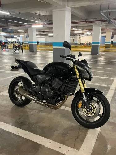 Hornet impecavel