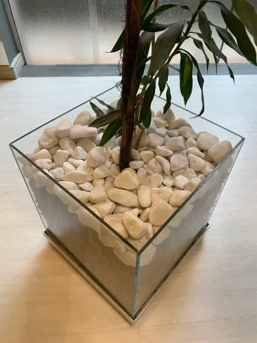 Vaso de vidro com planta, pedras decorativas e base com rodinhas