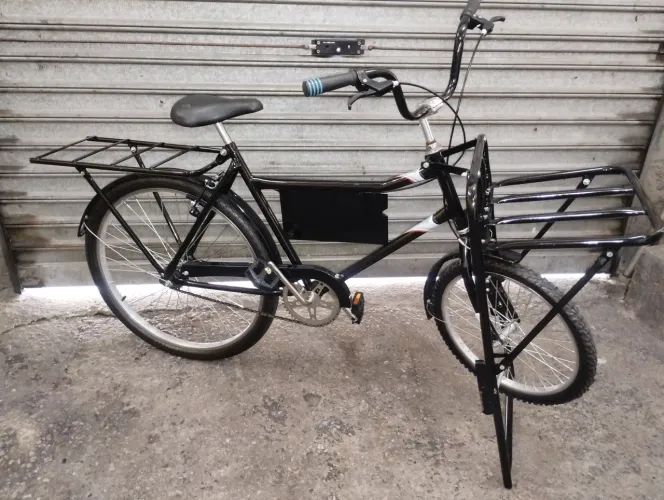 Bicicleta cargueira