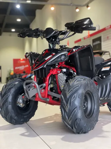 Mini Quadriciclo - RHINO 110 
