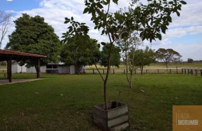 Fazenda à venda em Bataguassu-MS: 621 alqueires de área. Confira já!