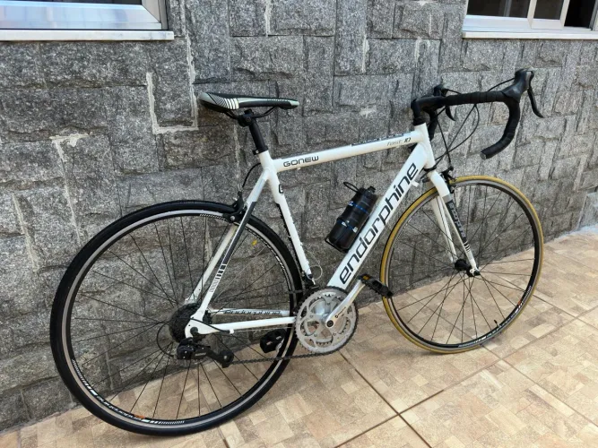 Bike ENDORPHINE FAST 10
