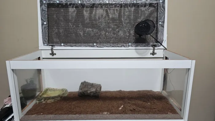 Terrario baú com laterais de vidro