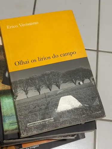 Olhai os Lírios do Campo - Erico Veríssimo
