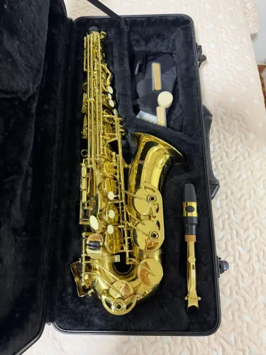 Sax alto Wasm35 Michael  