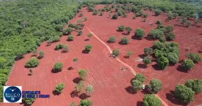 FAZENDA À VENDA EM MARA ROSA  GO | 66 ALQUEIRES | AGRICULTURA E PECUÁRIA