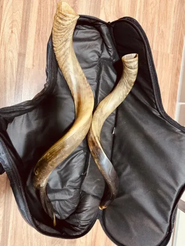 2 Shofar De Chifre Antilope 