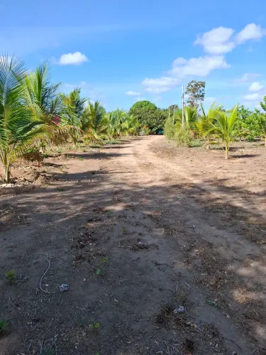 Vende-se ou troca-se chácara 100X386m na vila Nova Esperança, município de Bonfim-RR.